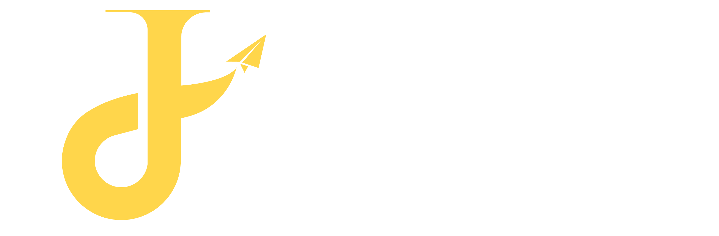 joy paradise travel