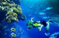 Bali Snorkling