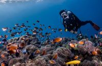 scuba-diving-bali